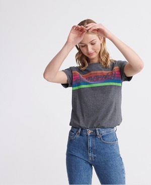 Superdry Rainbow Női Pólók Szürke | CHRJD6941